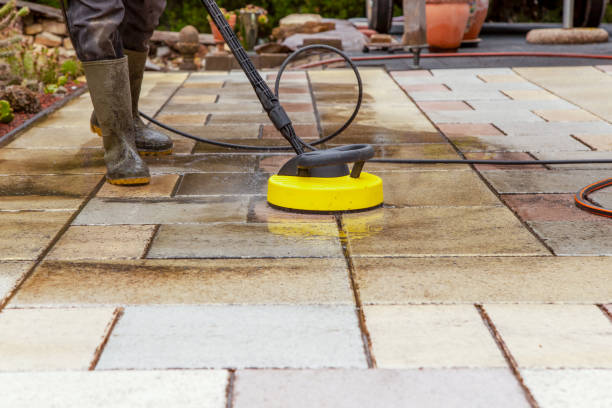Best Boat and Dock Cleaning  in Tenaha, TX