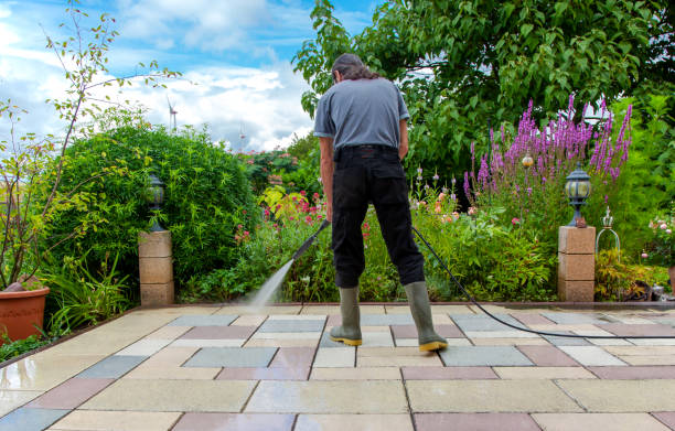 Trusted Tenaha, TX  Pressure Washing Services Experts